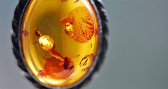 Piedras de la suerte para Capricornio - CapricornioHoy.net